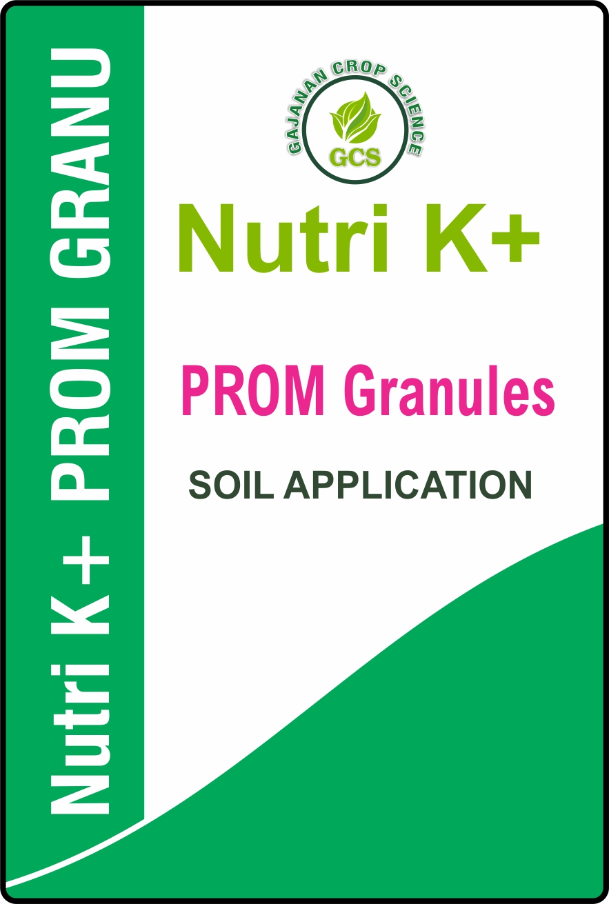 Prom Granules